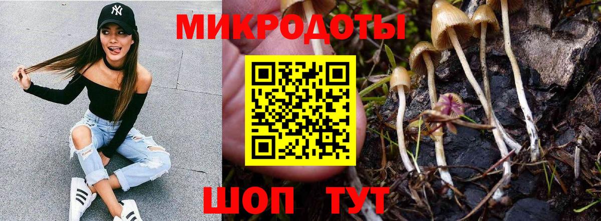 Псилоцибиновые грибы прущие грибы Рославль