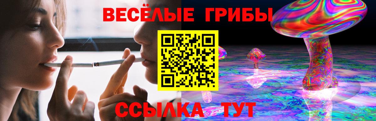 Псилоцибиновые грибы прущие грибы  Вход с VPN  Рославль 